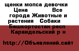 щенки мопса девочки › Цена ­ 25 000 - Все города Животные и растения » Собаки   . Башкортостан респ.,Караидельский р-н